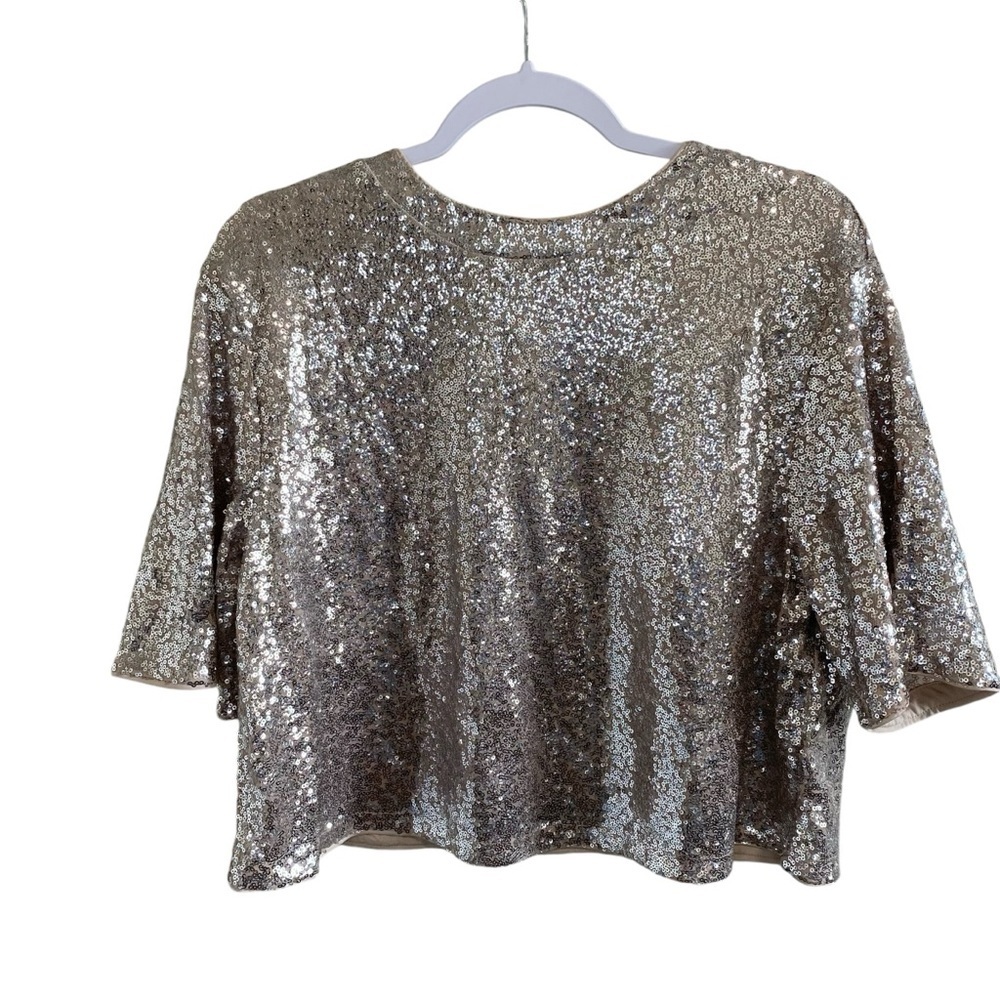 H&M Glittering Silver Crop Top